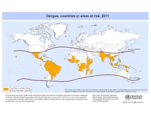 図1 Dengu,countries or areas at risk, 2011